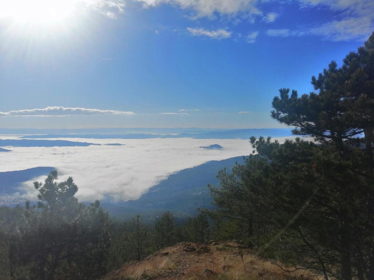 Divcibarski Konak Divčibare Exteriör bild